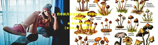не бодяженный Сафоново