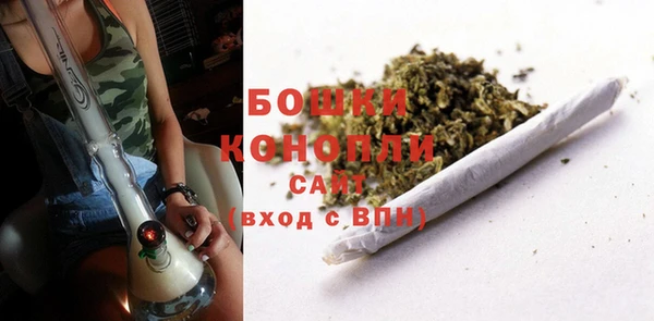 шишки Володарск