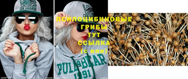 mix Верхний Тагил