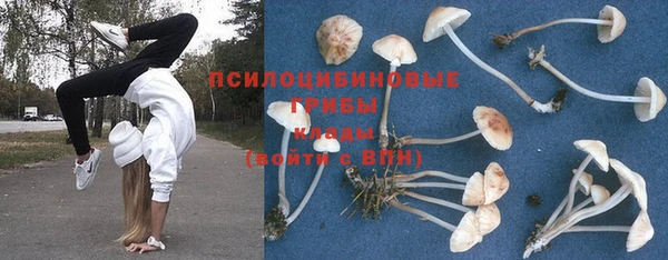 тгк Саяногорск