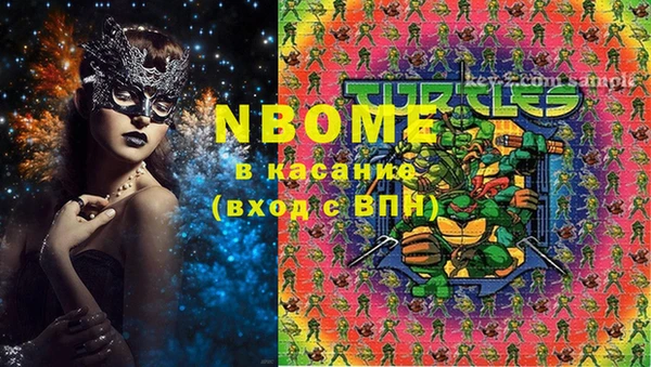 шишки Володарск