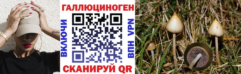 Псилоцибиновые грибы MAGIC MUSHROOMS  Переславль-Залесский 